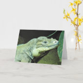 Carte Rhinoceros Iguana (Fleur jaune)
