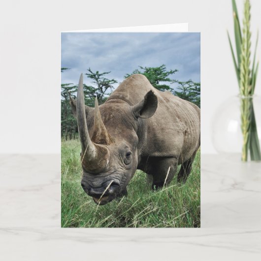 Carte Rhinoceros noir| Kenya (Devant)