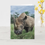 Carte Rhinoceros noir| Kenya (Fleur jaune)