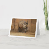 Carte Rhinoceros Portrait (Devant)