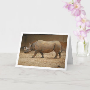 Carte Rhinoceros Walking