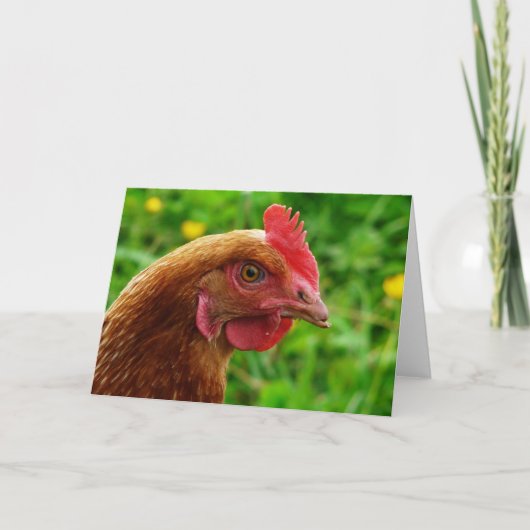 Carte Rhode Island Red Hen (Devant)