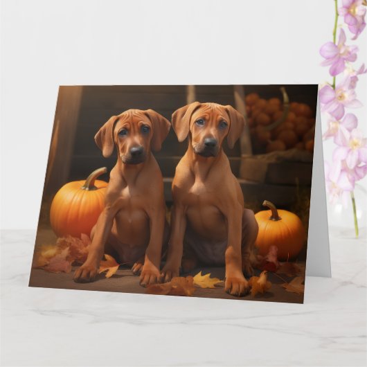 Carte Rhodesian Ridgeback Chiot Automne Citrouille délic (Orchidée)
