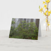 Carte Rhododendron dans le parc national Redwood en Cali (Fleur jaune)