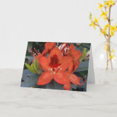Carte Rhododendron orange (Fleur jaune)