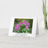 Carte Rhododendron Ponticum (Dos)