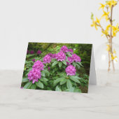 Carte Rhododendron Ponticum (Fleur jaune)