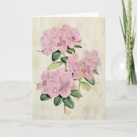Carte Rhododendron Vintage à fleurs précoces (Devant)
