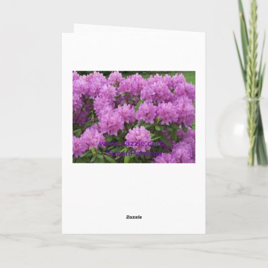 Carte Rhododendrone (Dos)