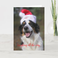 "Riant tout au long du chemin..."