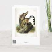 Carte Ringtail (Bassaris à queue annelée, Chat à queue a (Dos)