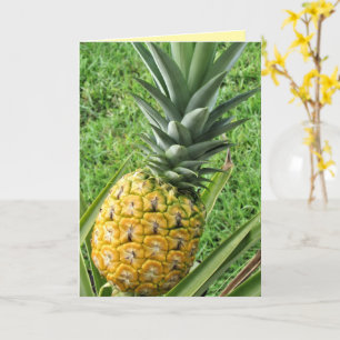 Carte Ripe, Fraîche, Délicieuse - Ananas De Mes Rêves
