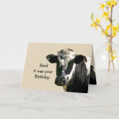 Carte Rires drôles d'anniversaire d'humour de vache (Fleur jaune)