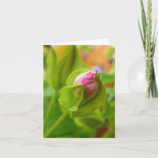 Carte Risque à la fleur (Devant)