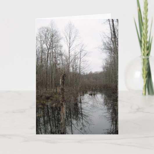 Carte Rivière à travers la nature sauvage (Devant)