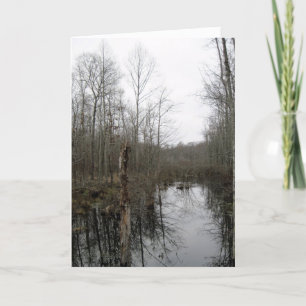 Carte Rivière à travers la nature sauvage