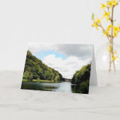 Carte Rivière Durham, nature (Fleur jaune)