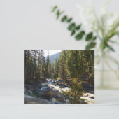 Carte Rivière Kaweah dans le parc national de Sequoia (Debout devant)