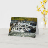 Carte Rivière Potomac, Great Falls Park (Fleur jaune)