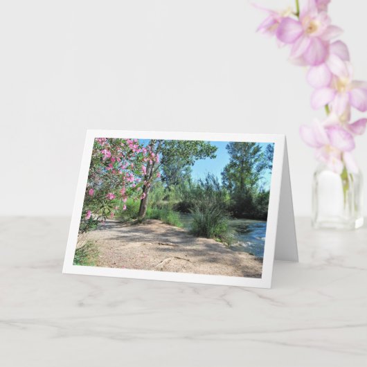 Carte Rivière Turia, Vilamarxant, Valence, Espagne, Espa (Orchidée)