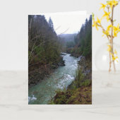 Carte Rivière Wilson, OU (Fleur jaune)