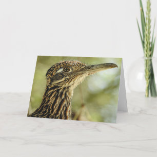 Carte Roadrunner Notecard