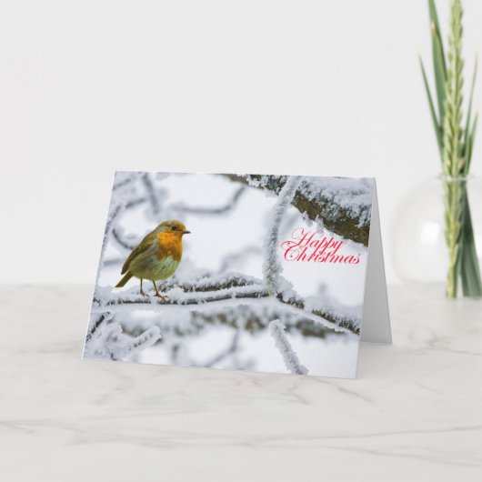 Carte Robbin Redsein (Devant)