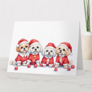 Carte Robe de Noël Malti Tzu Chapeau de Père Noël