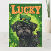 Carte Robe de St Patrick pour Affenpinscher (Devant)
