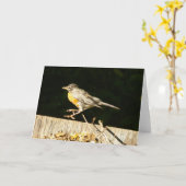 Carte Robin (Fleur jaune)
