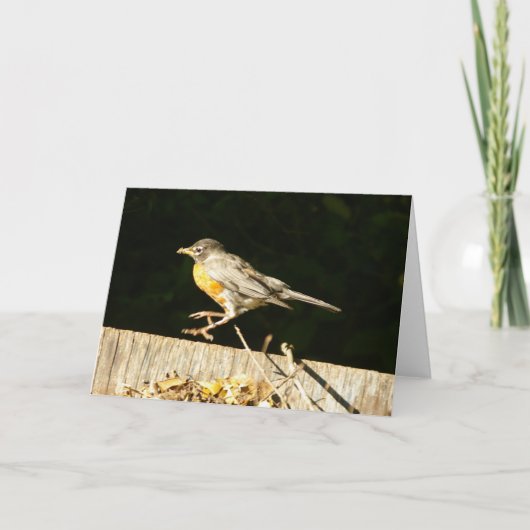 Carte Robin (Devant)