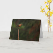 Carte Robin (Fleur jaune)