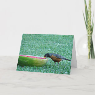 Carte Robin aime la pastèque, 4 juillet