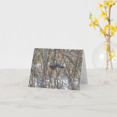 Carte Robin américain (Fleur jaune)