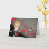 Carte Robin américain et baies rouges (Fleur jaune)
