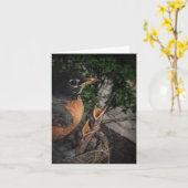 Carte Robin and Babies (Fleur jaune)