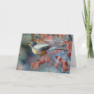 Carte Robin mangeant la baie
