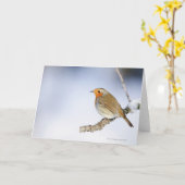 Carte Robin perché sur une branche en hiver (Fleur jaune)