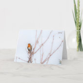 Carte Robin Redmamin Note (Devant)