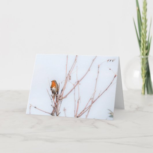 Carte Robin Redmamin Note (Devant)