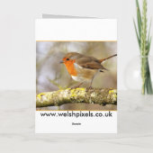 Carte Robin Song (Dos)