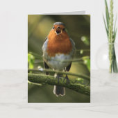 Carte Robin Song (Devant)