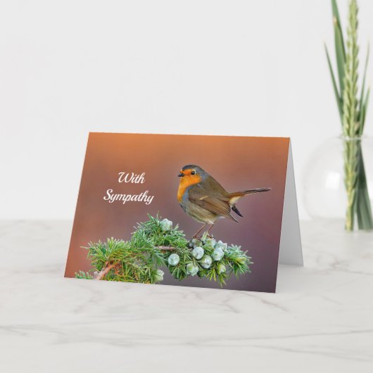 Carte Robin Sympathy (Devant)