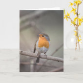 Carte Robin Wildlife Photo (Fleur jaune)