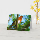 CARTE ROBINS (Fleur jaune)