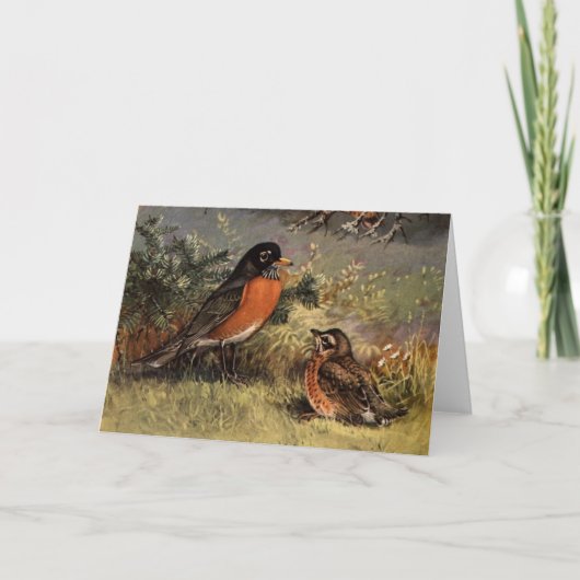 Carte Robins de Brooks (Devant)