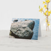 Carte Roche de foyer (Fleur jaune)