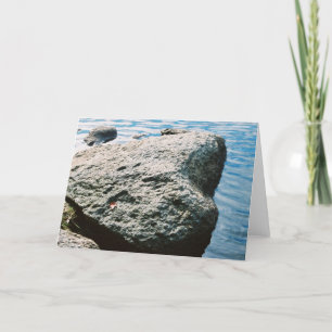 Carte Roche de foyer