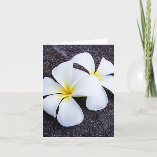 Carte Roche florale de lave de Plumeria de Frangipani (Devant)