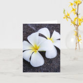 Carte Roche florale de lave de Plumeria de Frangipani (Fleur jaune)
